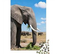 Rompecabezas De 1000 Piezas para Adolescentes Rompecabezas African Elephant Eating Grass Rompecabezas Juguetes DIY Decoración del Hogar Regalos Y Cumpleaños Únicos 38x26cm/1000pcs