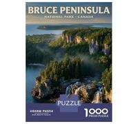 Rompecabezas De 1000 Piezas para Adolescentes Rompecabezas Bruce Peninsula National Park, Canada Rompecabezas para Adultos Juego Familiar Análisis Y Lógica Cumpleaños 38x26cm/1000pcs