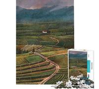 Rompecabezas de 1000 Piezas para Adolescentes Rompecabezas de Casas solitarias para Adultos Juego de ingenio para Mejorar la Memoria Ideal para cumpleaños y Navidad (tamaño 38x52cm)