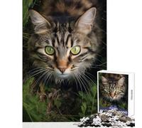 Rompecabezas de 1000 Piezas para Adolescentes Rompecabezas de Gato Caminando sobre la Hierba Juguetes antiestrés Regalos de cumpleaños Juego de ingenio interacción Entre Padres e Hijos tamaño 38x26cm