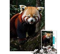 Rompecabezas de 1000 Piezas para Adolescentes Rompecabezas del Panda Rojo Fauna Salvaje desafío Educativo Juego Divertido y desafiante Apto para Mayores de 14 años (50x75cm)