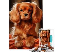 Rompecabezas de 1000 Piezas para Adolescentes Ruby Cavalier King Charles Spaniel Juegos relajantes Juguetes adictivos para Cultivar la Paciencia Obra de Arte Regalo Arte de Pared (tamaño 38x26cm)