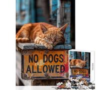 Rompecabezas de 1000 Piezas para Adolescentes señal de No se Permiten Perros Juguetes de Bricolaje Regalo de cumpleaños Juegos Familiares con Piezas de Formas aleatorias Totalmente entrelazadas