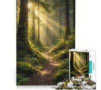 Rompecabezas de 1000 Piezas para Adolescentes Sendero del Bosque bajo la luz del Sol Dorado, Juegos Familiares, Corte de precisión, cumpleaños y Navidad 50x75cm