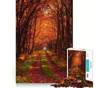 Rompecabezas de 1000 Piezas para Adolescentes Sendero del Bosque otoñal,Corte Suave,Juego de lógica,Tiempo de Juego Relajante,Regalo de cumpleaños para Aficionados (38x26cm)