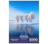Rompecabezas De 1000 Piezas para Adolescentes Snowy Island in A Frozen Lake Rompecabezas para Adultos Juegos Relajantes Vacaciones En Casa Matar El Tiempo 38x26cm/1000pcs