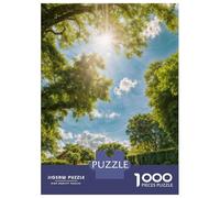 Rompecabezas De 1000 Piezas para Adolescentes Sunlight Through The Trees Rompecabezas para Adultos Juegos Relajantes Decoración Desafío Educativo 70x50cm/1000pcs