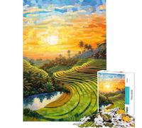 Rompecabezas de 1000 Piezas para Adolescentes Terrazas de arroz de Bali Rompecabezas para Adultos Juego práctico Que Mejora la Memoria cumpleaños y Navidad (Tamaño 50x75cm)