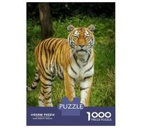 Rompecabezas De 1000 Piezas para Adolescentes Tiger in The Wild Rompecabezas Juegos De Relajación Análisis Y Lógica Desafío Educativo 38x26cm/1000pcs