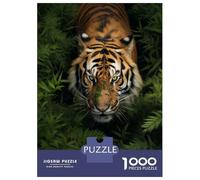 Rompecabezas De 1000 Piezas para Adolescentes Tiger Walking in Grass Rompecabezas Juego De Ingenio Decoración De Pared Regalos De Cumpleaños Y Únicos 38x26cm/1000pcs
