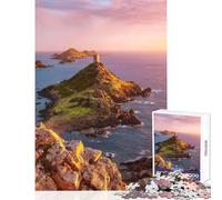 Rompecabezas de 1000 Piezas para Adolescentes Torre genovesa archipiélago Juego práctico Actividades Familiares decoración del hogar Juguetes desafiantes para completar (38x26cm)