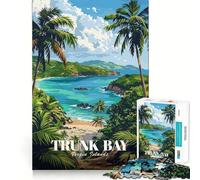 Rompecabezas de 1000 Piezas para Adolescentes Trunk Bay Islas Vírgenes Ilustración Decoración de articulaciones ordenadas Juguete para ejercitar la Mente Juego para el Tiempo de Descanso Regalo