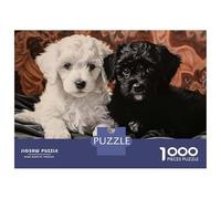 Rompecabezas De 1000 Piezas para Adolescentes Two Poodle Puppies Portrait Rompecabezas para Adultos Juegos Relajantes Vacaciones En Casa Matar El Tiempo 52x38cm/1000pcs