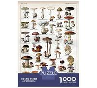 Rompecabezas De 1000 Piezas para Adolescentes Types of Mushrooms Rompecabezas para Adultos Juguetes Antiestrés Ensamblaje De Patrones Desafiante De Completar 70x50cm/1000pcs
