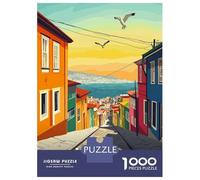 Rompecabezas De 1000 Piezas para Adolescentes Valparaiso, Chile Rompecabezas para Adultos Juegos Familiares Vacaciones En Casa Matar El Tiempo Difícil Y Desafiante 70x50cm/1000pcs