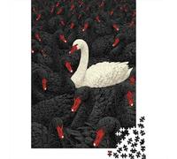 Rompecabezas De 1000 Piezas para Adolescentes White Swan Amongst Black Birds -1 Rompecabezas para Adultos Juego Familiar Decoración del Hogar Cumpleaños Y Navidad 52x38cm/1000pcs