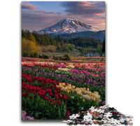 Rompecabezas de 1000 Piezas para Adolescentes y Adultos Hermosos Rompecabezas de río de montaña Toda la Familia a Partir de los 14 años 38x26cm