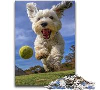 Rompecabezas de 1000 Piezas para Adolescentes: Yorkshire Terrier Jugando al Tenis Desafiante, Pero Divertido y Gracioso Incluye póster y Hoja de Trivia a Juego 50x75cm