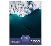 Rompecabezas De 1000 Piezas para Adultos Arctic Humpback Whale from Above Rompecabezas para Adultos Juegos Relajantes Análisis Y Lógica Oferta como Regalos para Toda La Familia 70x50cm/1000pcs