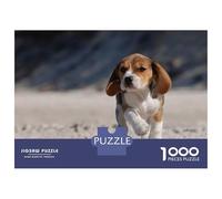 Rompecabezas De 1000 Piezas para Adultos Beagle on The Beach Rompecabezas para Adultos Juego De Ingenio Mejora La Memoria Gran Regalo para Jugar 38x26cm/1000pcs