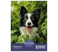 Rompecabezas De 1000 Piezas para Adultos Border Collie in Green Rompecabezas para Adultos Juegos Familiares Desafío Difícil para Cumpleaños, Navidad 38x26cm/1000pcs