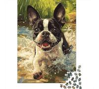 Rompecabezas de 1000 Piezas para Adultos, Boston Terrier, Rompecabezas para Adultos y Adolescentes a Partir de 12 años, 1000 Piezas (38 x 26 cm)