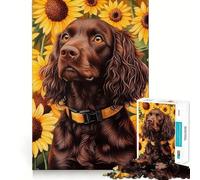 Rompecabezas de 1000 Piezas para Adultos Boykin Spaniel en un Campo de Girasoles Diseño artístico de Corte preciso Un desafío Mental Un Juego Divertido para Pasar el rato Regalo Ideal para cumpleaños
