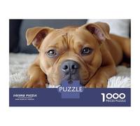 Rompecabezas De 1000 Piezas para Adultos Brown Dog Portrait on White Blanket Rompecabezas para Adolescentes Juegos Familiares Difícil Difícil Interacción Entre Padres E Hijos 52x38cm/1000pcs