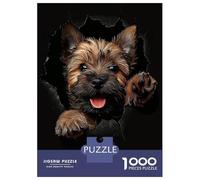 Rompecabezas De 1000 Piezas para Adultos Cairn Terrier Dog Rompecabezas para Adultos Juegos Familiares Desafío Difícil para Cumpleaños, Navidad 52x38cm/1000pcs