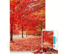 Rompecabezas de 1000 Piezas para Adultos Calles otoñales,Arte de Corte preciso,Juego de ingenio,diversión para el Tiempo Libre,Regalo de cumpleaños (50x75cm)