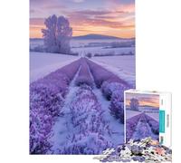 Rompecabezas de 1000 Piezas para Adultos Campo de Lavanda en Invierno Ideal para cumpleaños Navidad decoración del hogar y Juegos relajantes para Mayores de 14 años (38x26cm)
