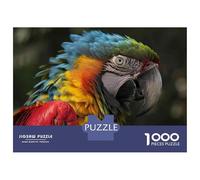 Rompecabezas De 1000 Piezas para Adultos Colorful Macaw Parrot Bird Rompecabezas para Adultos Juego Familiar Mejora La Memoria Regalos Y Cumpleaños Únicos 38x26cm/1000pcs