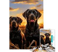 Rompecabezas de 1000 Piezas para Adultos con Dos labradores Diversión en casa Ideal para Pasar el rato Durante Las Vacaciones Juego de ingenio Apto para Mayores de 14 años (38x26cm)