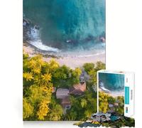 Rompecabezas de 1000 Piezas para Adultos con Vista aérea de Playa Tropical, Juego de ingenio, Regalo Divertido y Relajante para Navidad (38x26cm)
