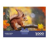 Rompecabezas De 1000 Piezas para Adultos Cute Squirrel Fall Season Rompecabezas para Adultos Juegos Divertidos Análisis Y Lógica Regalos para Amigos Y Familiares 38x26cm/1000pcs