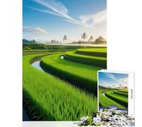 Rompecabezas de 1000 Piezas para Adultos diseño de arrozales al Amanecer para decoración del hogar Juguetes Obras de Arte Regalo Juego Educativo Actividades Divertidas en casa tamaño 38x52cm