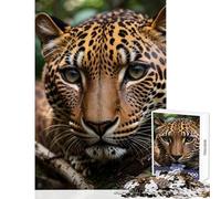 Rompecabezas de 1000 Piezas para Adultos diseño de Leopardo Enojado Educativo para cumpleaños y Navidad tamaño 50x75cm