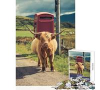 Rompecabezas de 1000 Piezas para Adultos diseño de Vaca de Las Tierras Altas de la Isla de Mull Juguete Educativo Gran Regalo y Juego Familiar para cumpleaños y Navidad Tamaño 38x26cm