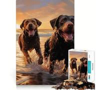 Rompecabezas de 1000 Piezas para Adultos Dos labradores en la Playa Piezas de Corte Limpio Juego de Habilidad Mental Momento de relajación Diversión Escena navideña Arte (50x75cm)