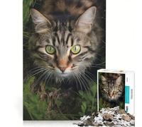 Rompecabezas de 1000 Piezas para Adultos: Gato Caminando sobre la Hierba, Juego de ingenio, Corte de precisión, colección de Artistas, Bellas Artes 50x75cm