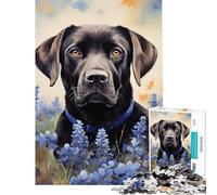 Rompecabezas de 1000 Piezas para Adultos Labrador Negro Entre lupinos Azules Difícil y desafiante Una Obra de Arte Juegos educativos Apto para Mayores de 14 años (50x75cm)
