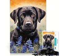 Rompecabezas de 1000 Piezas para Adultos Labrador Negro Entre lupinos Azules Juego de Bordes limpios,Juego de lógica,Juego de Entretenimiento,decoración navideña 50x75cm