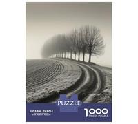 Rompecabezas De 1000 Piezas para Adultos Misty Row Sentinels Rompecabezas Juegos Familiares Regalo De Cumpleaños Cumpleaños Y Navidad 38x26cm/1000pcs