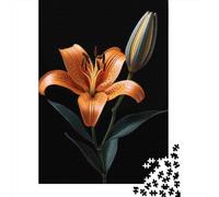 Rompecabezas De 1000 Piezas para Adultos Orange Lily Flower with Bud Rompecabezas para Adultos Juego De Ingenio Desafío Educativo Difícil 70x50cm/1000pcs