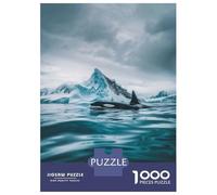 Rompecabezas De 1000 Piezas para Adultos Orca and Iceberg Majesty Rompecabezas para Adultos Juego De Ingenio Una Obra De Arte Actividades Divertidas En Casa 38x26cm/1000pcs