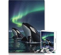 Rompecabezas de 1000 Piezas para Adultos: Orcas bajo la Aurora Boreal Horas de Ocio tranquilas Juguete de Corte preciso Tamaño 50x75cm