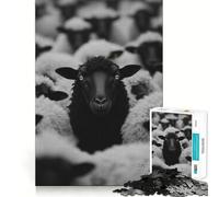 Rompecabezas de 1000 Piezas para Adultos Oveja Negra Entre Blanca,Juego de articulaciones afiladas,Juguete para Resolver Problemas,Momento de diversión Tranquila,decoración navideña 38x26cm