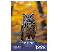 Rompecabezas De 1000 Piezas para Adultos Owl Perched on Rock in Autumn Rompecabezas para Adultos Juego De Ingenio Una Obra De Arte Interacción Entre Padres E Hijos 70x50cm/1000pcs