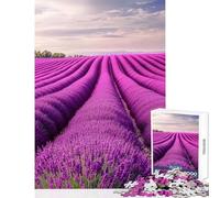 Rompecabezas de 1000 Piezas para Adultos Paisaje de Campo de Lavanda Juego práctico para Toda la Familia Juguetes antiestrés para una reducción del estrés (52x38cm)