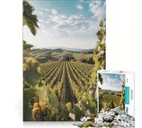 Rompecabezas de 1000 Piezas para Adultos Paisaje de viñedo Toscano Juegos Divertidos interacción Entre Padres e Hijos con póster y Hoja de Preguntas a Juego 38x52cm